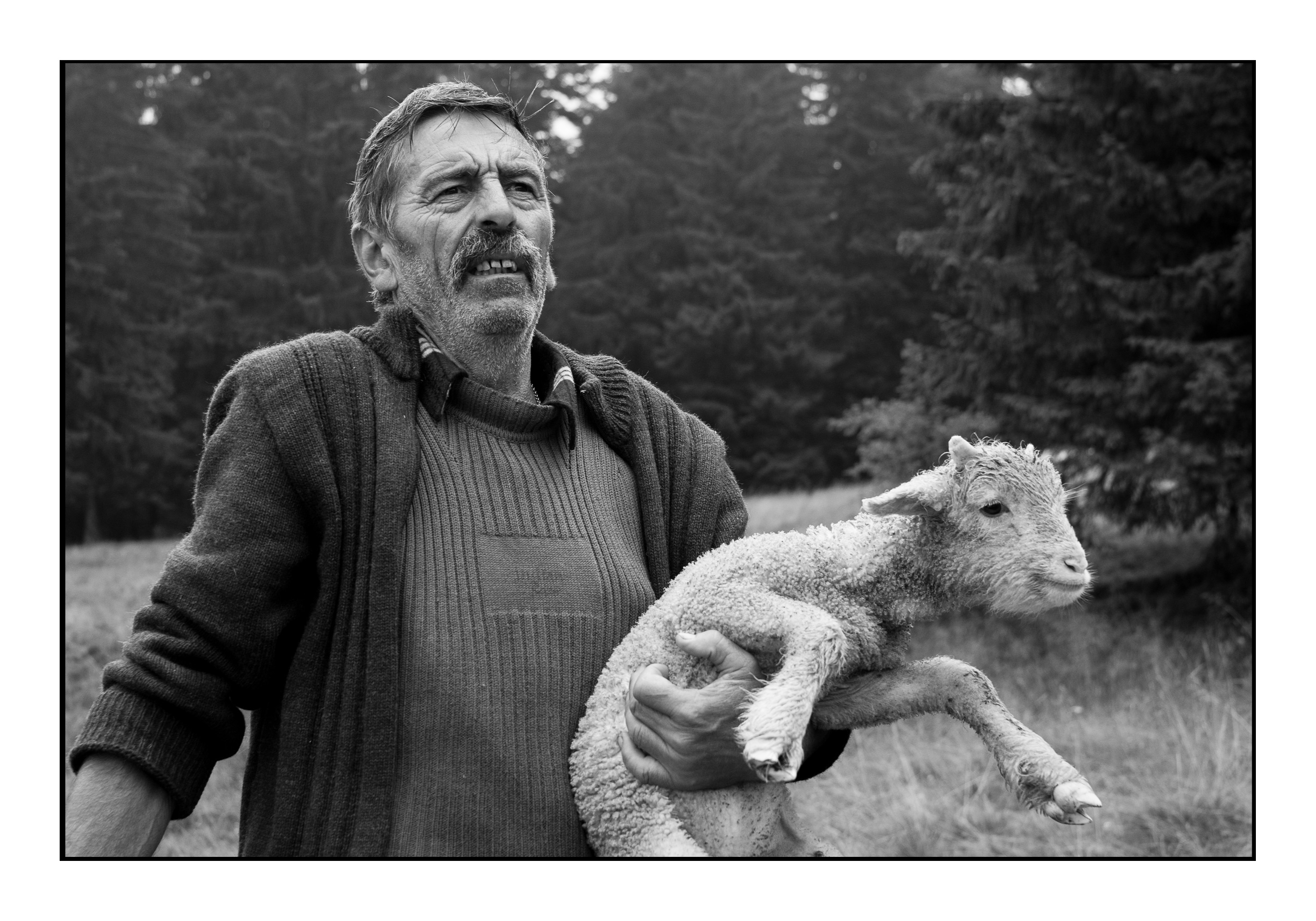 shepard Romania 17 Print_.jpg