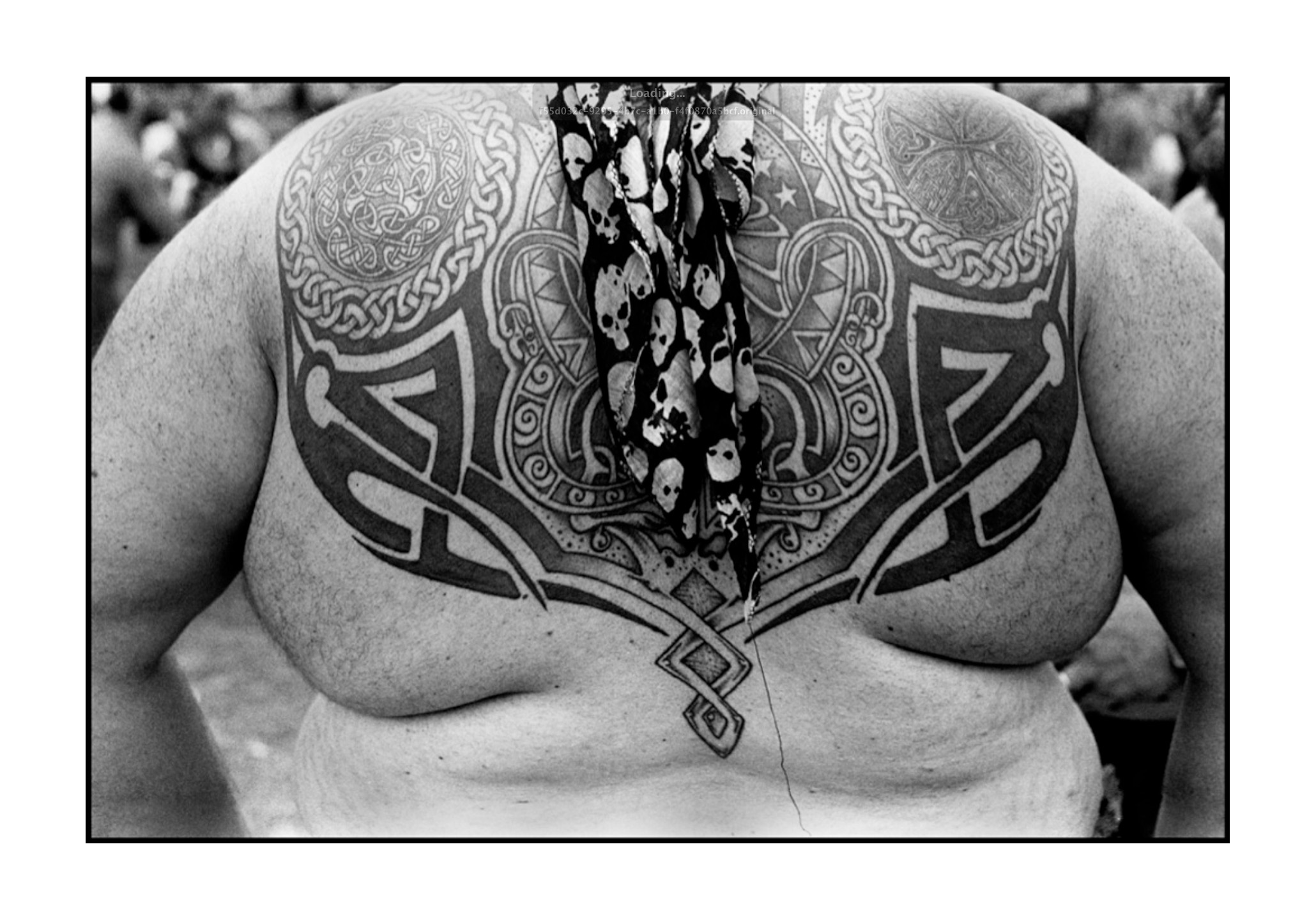 Bandito, Gulfport, Miss. 1988