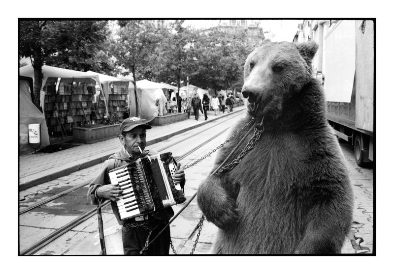Dancing bear, Sophia Bulgaria 2001