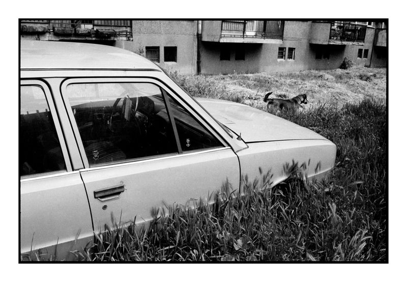 Sophia Bulgaria, Dog and Car  2001