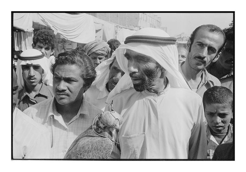 Falconer, Dubai UAE 1974