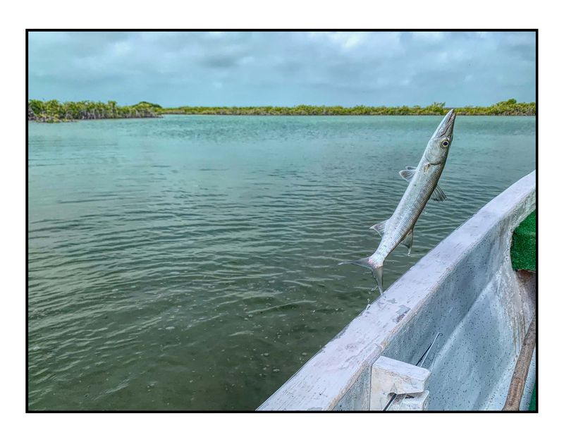 Yucatán Peninsula, Mexico 2021