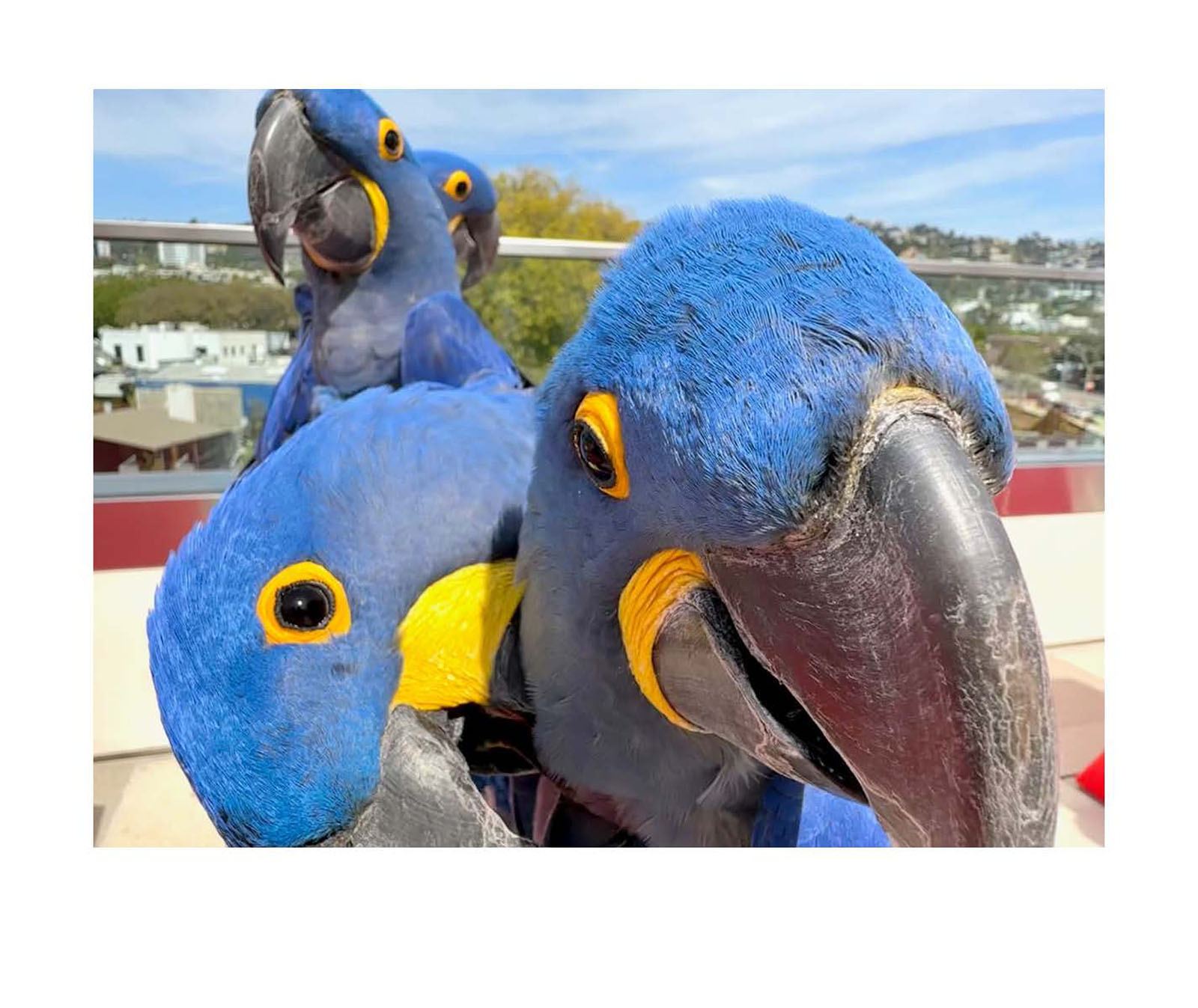 instant-pdf-P17334131 2 pages Page 14