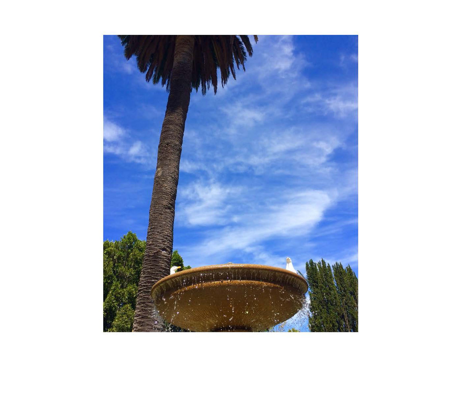 instant-pdf-P17334131 2 pages Page 15