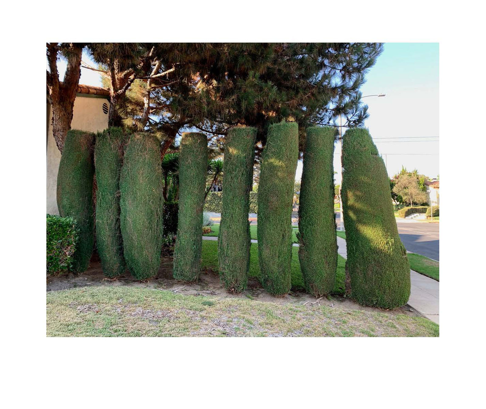 instant-pdf-P17334131 2 pages Page 23