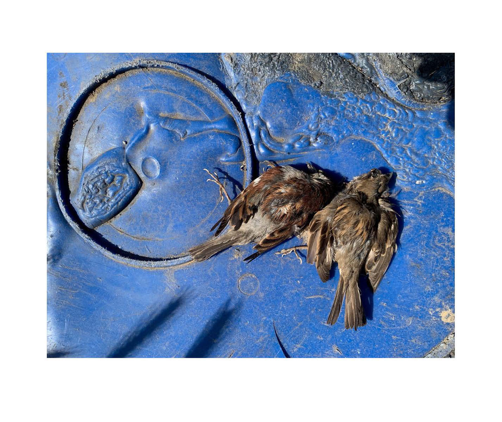 instant-pdf-P17334131 2 pages Page 38