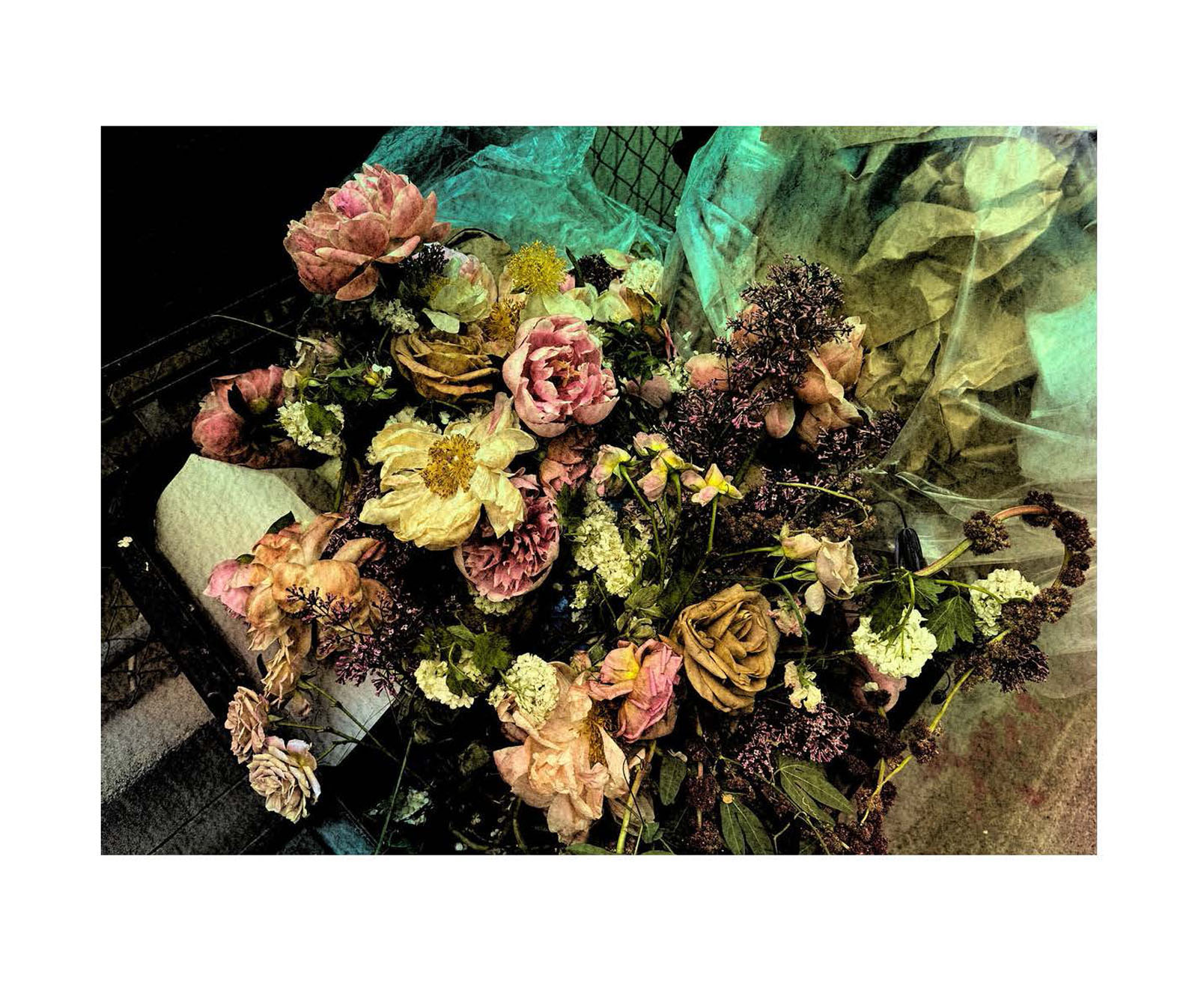 instant-pdf-P17334131 2 pages Page 39